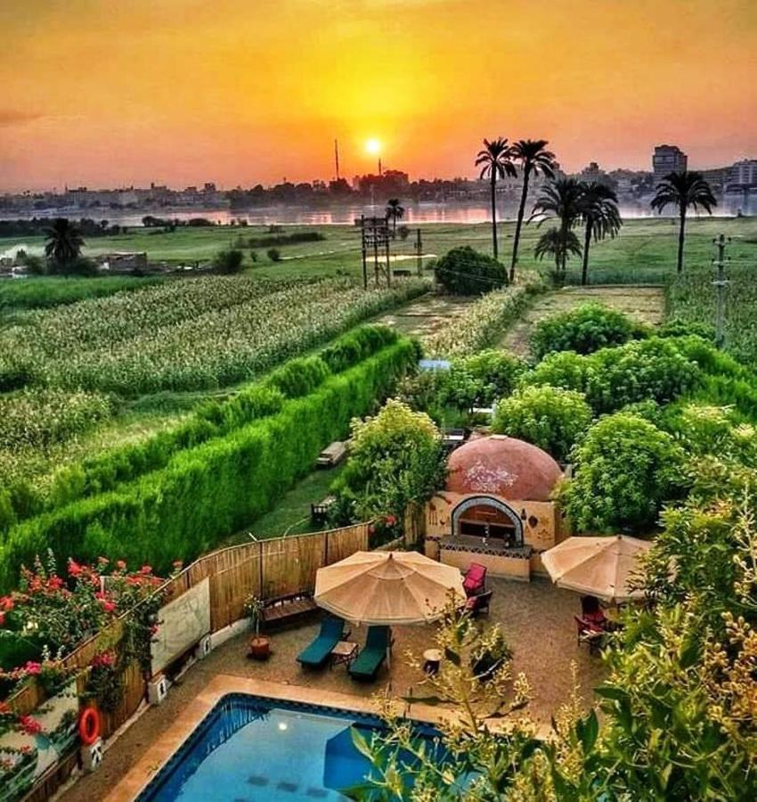 Nile Compound Louxor