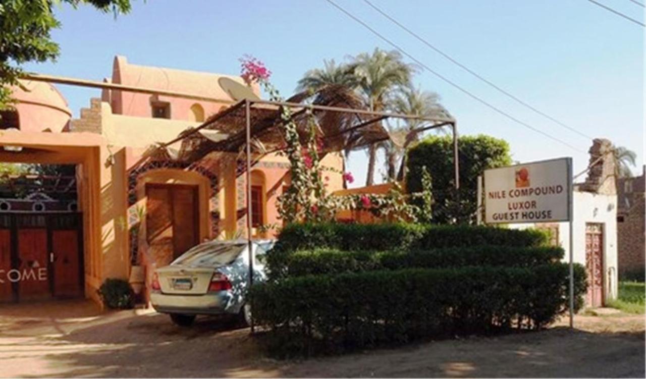 Nile Compound Maison d'hôtes Louxor