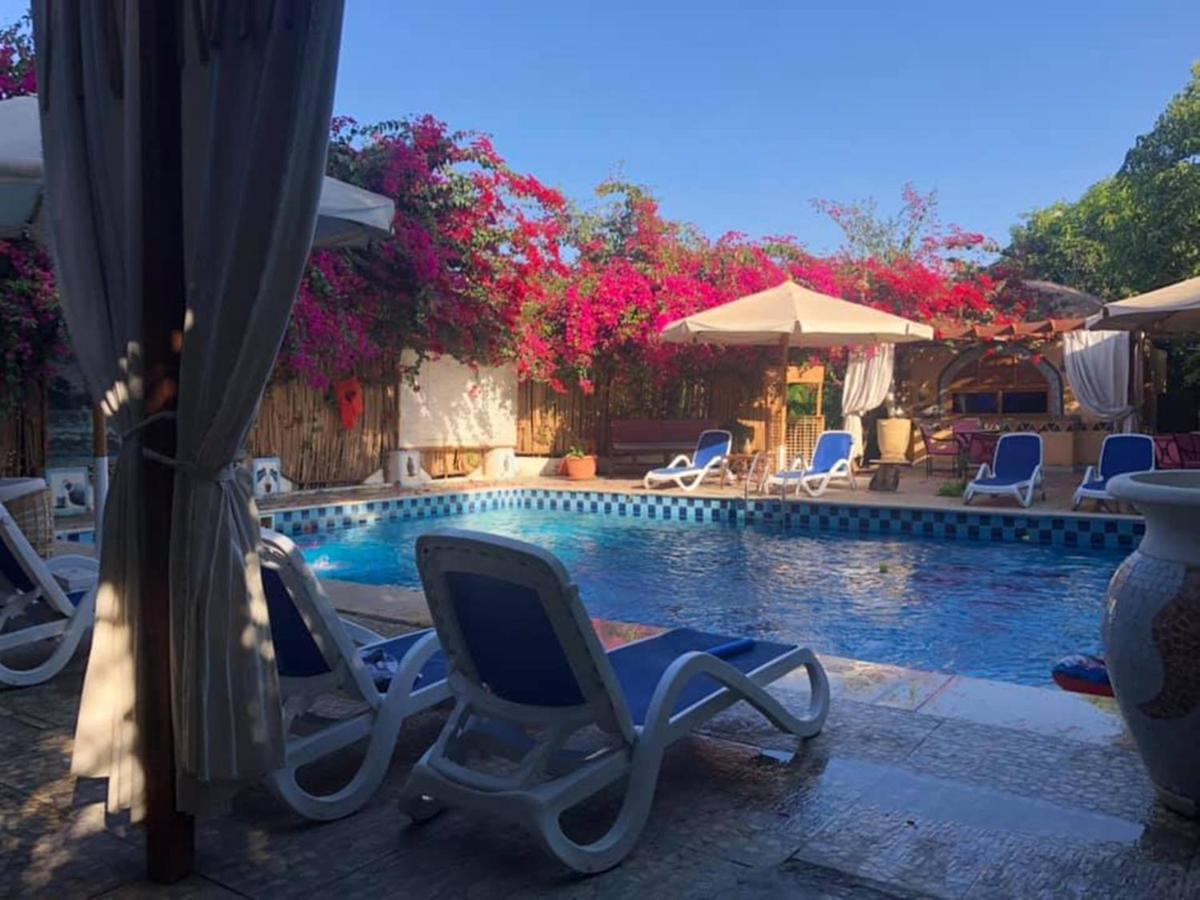 Nile Compound Maison d'hôtes 3*