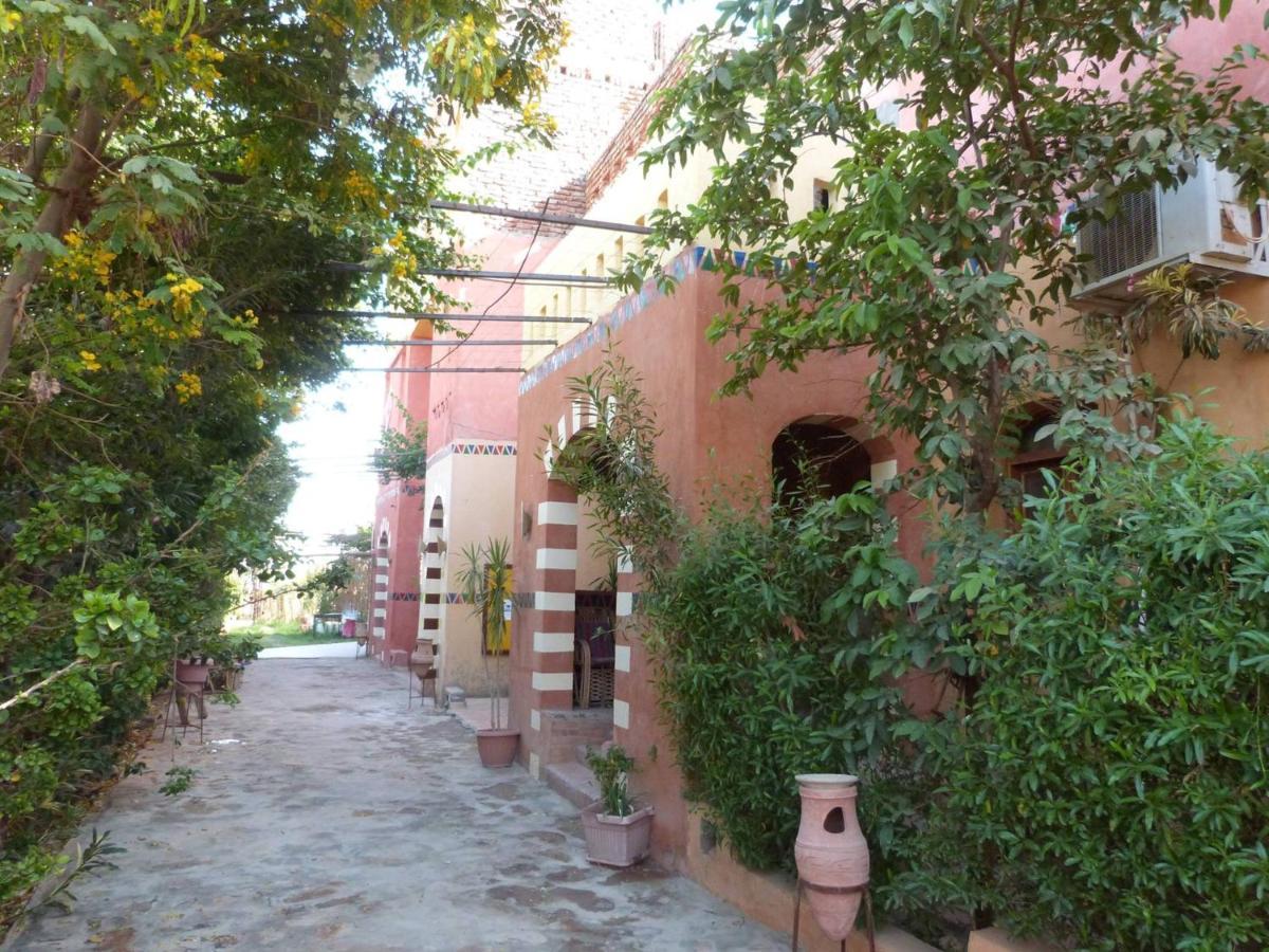 Nile Compound 3* Louxor