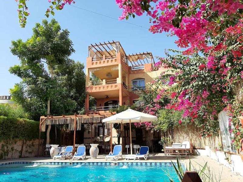 Nile Compound Maison d'hôtes Louxor