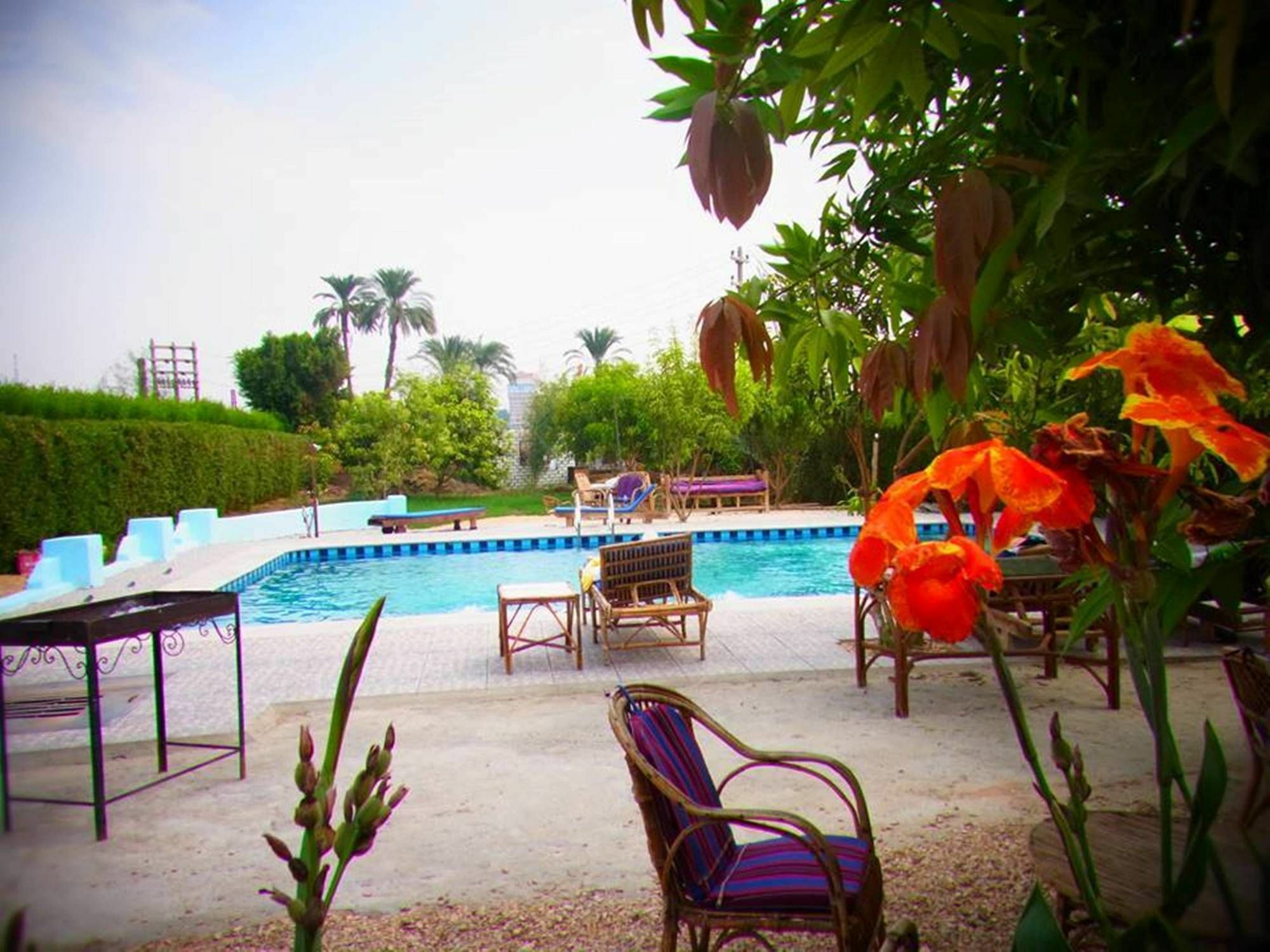 Nile Compound Louxor